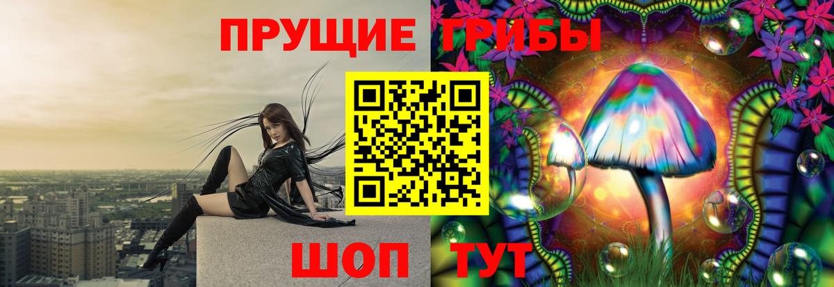 Галлюциногенные грибы Cubensis Чайковский