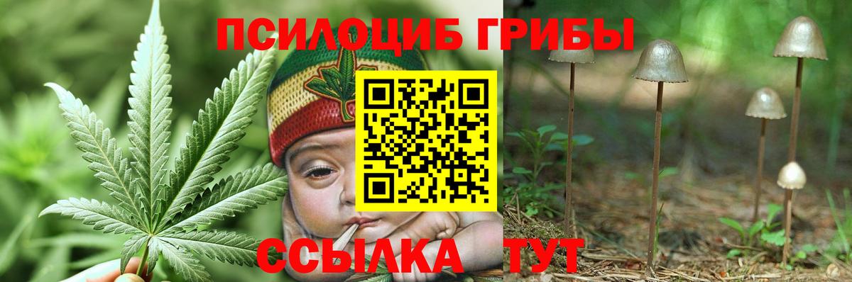 Псилоцибиновые грибы прущие грибы  Вход с VPN  Чайковский 